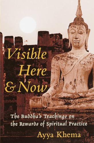 Visible here and now Cover