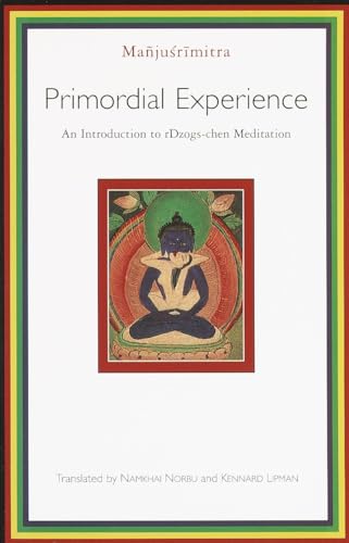 Primordial Experience Cover