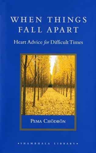 When Things Fall Apart Cover