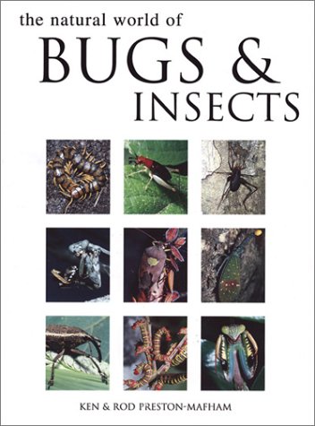Natural World of Bugs and Insects Cover