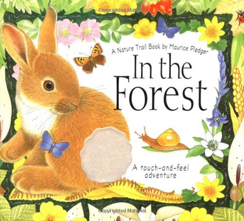 In the Forest Cover
