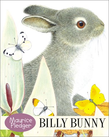 Billy Bunny Cover