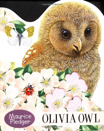 Olivia Owl Cover