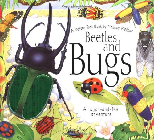 Beetles and Bugs Cover