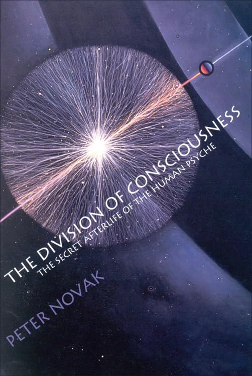 The division of consciousness Cover