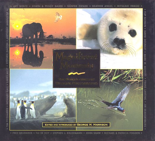 Magnificent moments Cover
