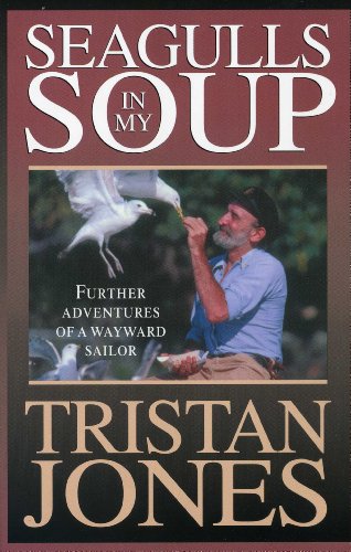 Seagulls in My Soup Cover