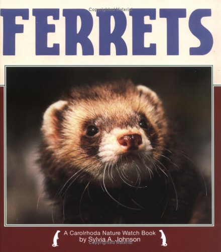 Ferrets Cover