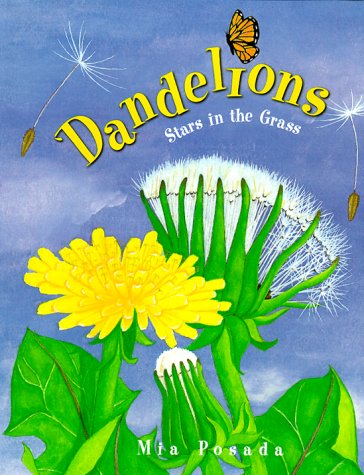 Dandelions Cover