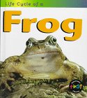 Life cycle of a frog Cover
