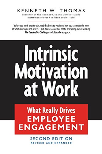 Intrinsic Motivation at Work Cover