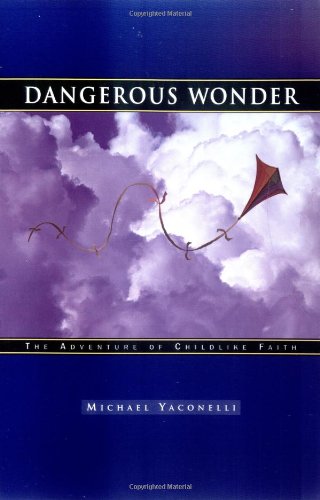 Dangerous Wonder Cover