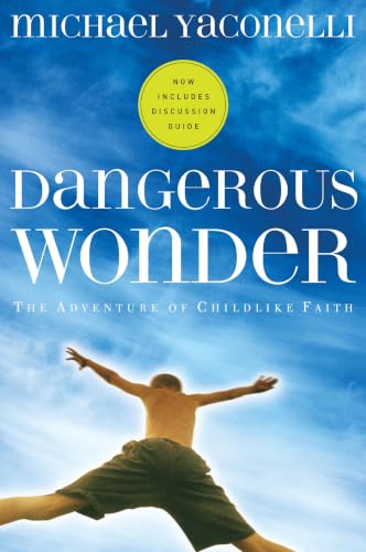 Dangerous Wonder Cover