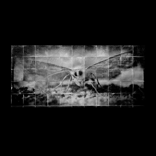 Attempted cover for Book ID: 1576871894