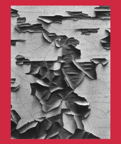 Aaron Siskind 100 Cover