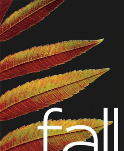 Fall Cover