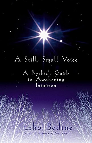 A Still, Small Voice Cover