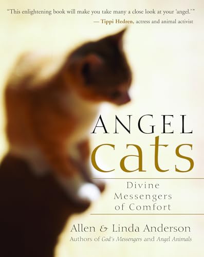 Angel cats Cover