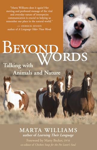 Beyond words Cover