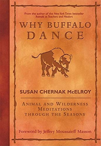 Why Buffalo Dance Cover