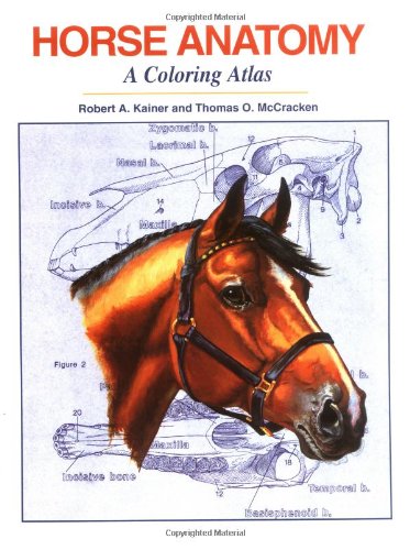 Horse Anatomy Cover