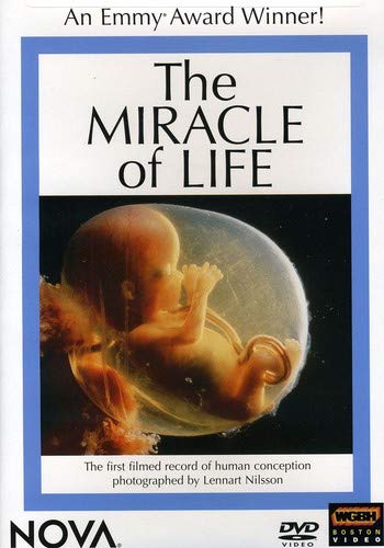 Attempted cover for Book ID: 1578071968