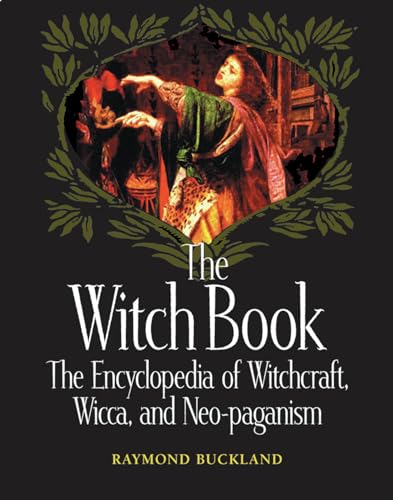 The witch book Cover