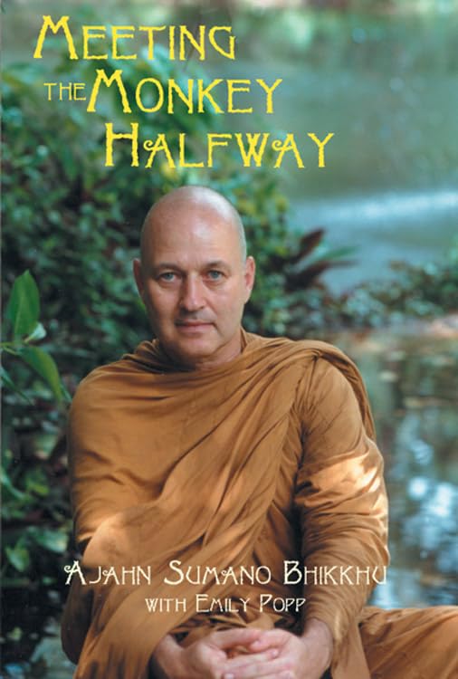 Meeting the monkey halfway Cover