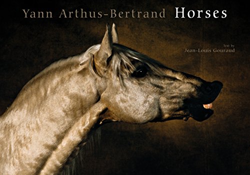 Horses Cover