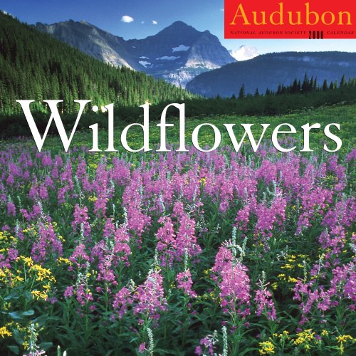 Audubon Wildflowers Calendar 2008 Cover