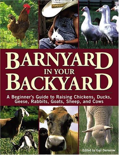 Barnyard in your backyard Cover