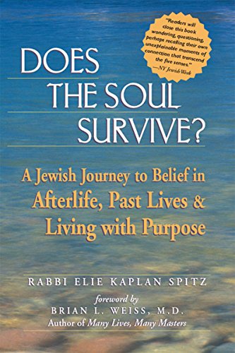 Does the soul survive? Cover