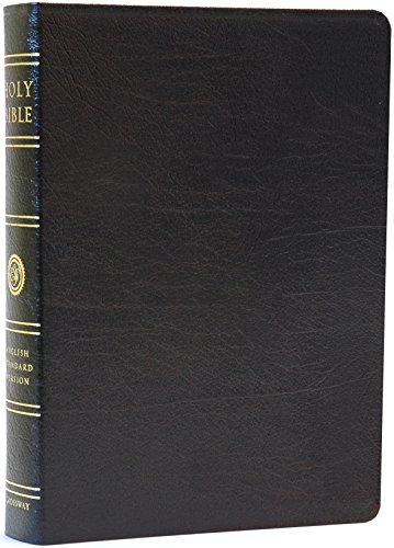Holy Bible Cover