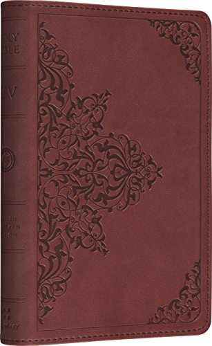 The Holy Bible Cover