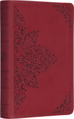 Holy Bible Cover