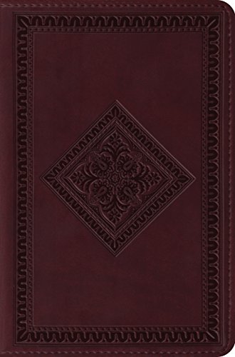 ESV BattleZone Bible Cover