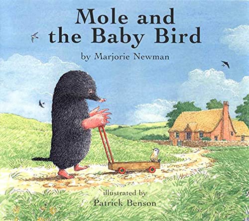 Mole and the baby bird Cover