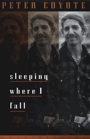 Sleeping Where I Fall Cover