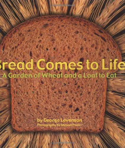 Bread Comes to Life Cover