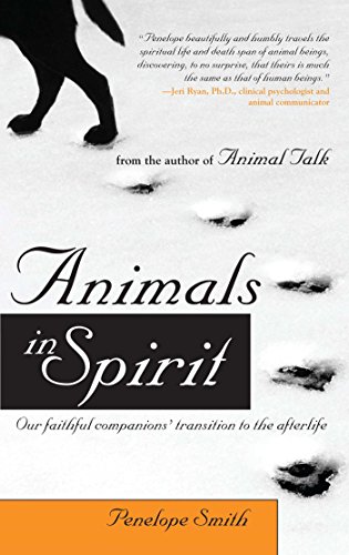 Animals in Spirit Cover