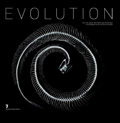Evolution Cover