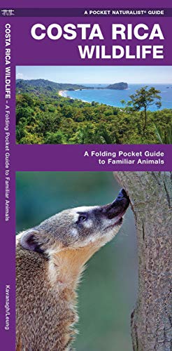 Costa Rican Wildlife Cover