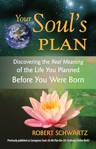 Your soul's plan Cover