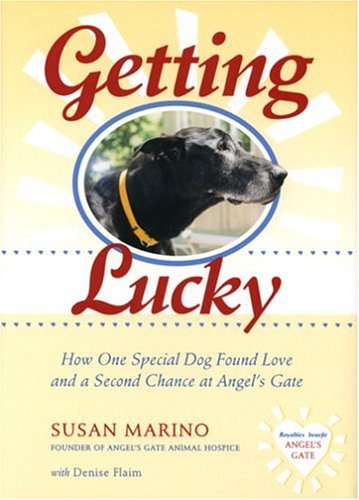 Getting Lucky Cover