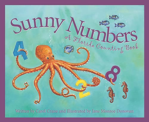 Sunny Numbers Cover