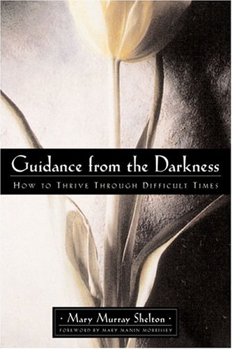 Guidance from the Darkness Cover