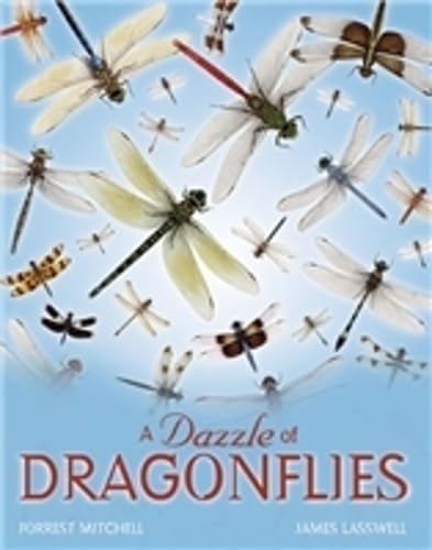 A Dazzle of Dragonflies Cover