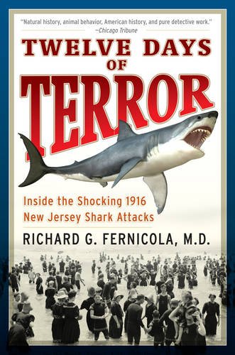 Twelve days of terror Cover