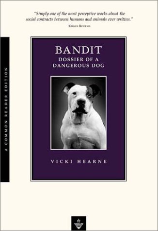 Bandit Cover