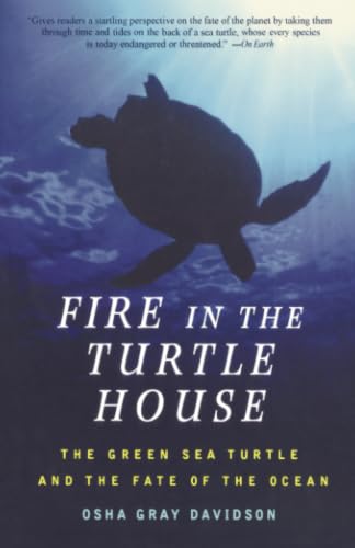 Fire in the Turtle House Cover
